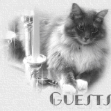 candleguestbook