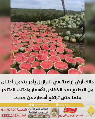 N ZJZsgJ339UWiZ7.jpg