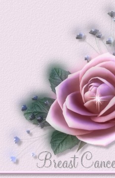 bca header 1x1.jpg