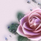 bca header 1x1