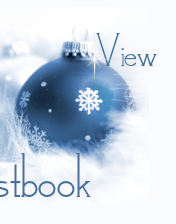 bluechristmas view.jpg