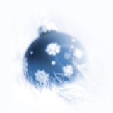 bluechristmas pic