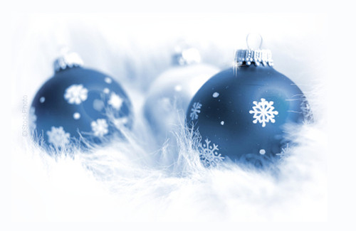 bluechristmas top.jpg