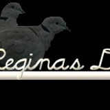bridgereginalogo