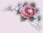 bca rose topright.jpg