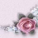 bca rosebottomright
