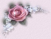 bca rose topleft.jpg