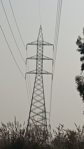 65.jpg