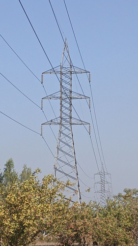 73.jpg