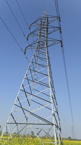85.jpg