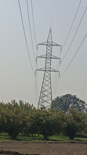 83.jpg