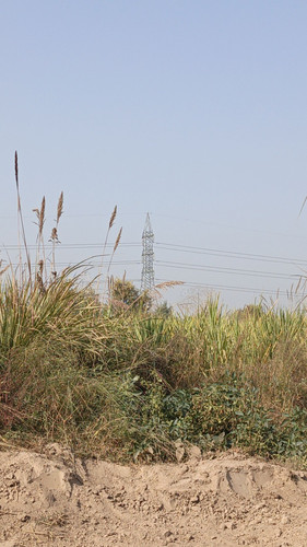93.jpg