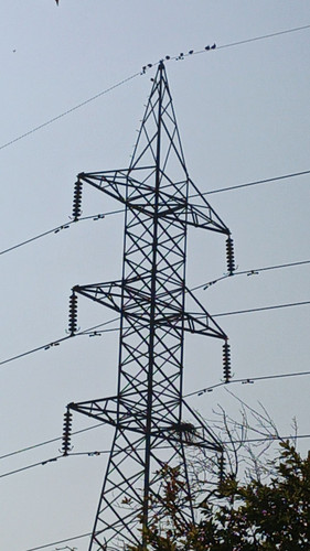 110a.jpg
