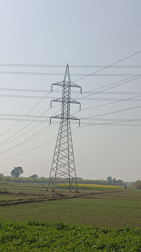 95.jpg