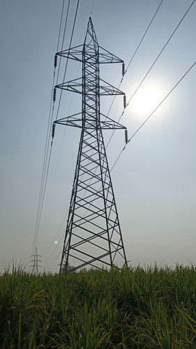 117.jpg