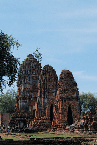 P1033139.1