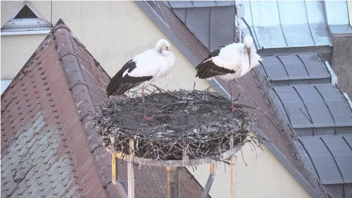 MWSnap816.jpg