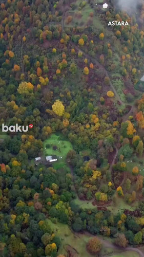 8p2yZaY4z7kyl mv.jpg