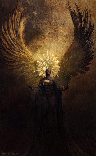 anato finnstark web petit.jpg