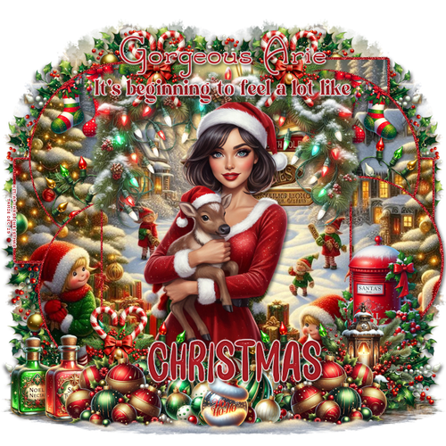 wkc5th 7thdec Gorgeous Arie