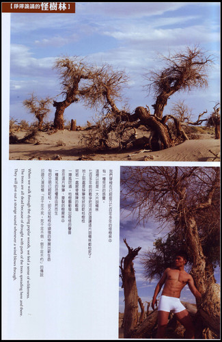 Scan20068.jpg