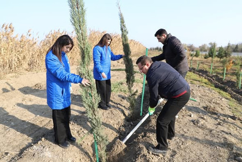 595664593 1286417703520663 2109005947176776216 n.jpg?stp=dst jpg s590x590 tt6& nc cat=110&ccb=1 7& n.jpg