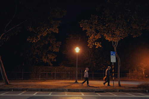 P1033798.1