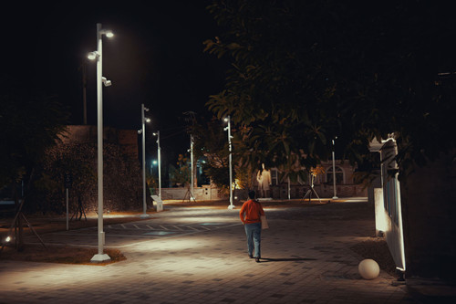 P1033793.1