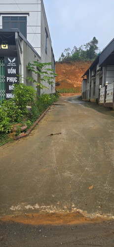 z7302803309658 c0aecd8f334e841b029b212d251ba4ae.jpg