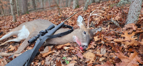 30 Second Day Buck on a rainy Tuesday Kessler Orchard Woods 11 25 25.jpg