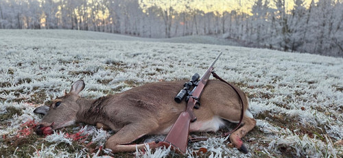 44 Fat Doe 7x57 120gr Sierra PH 146yds 12 3 25.jpg
