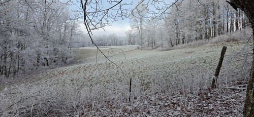 42 Ice Glaze in Shraders back field 12 3 25.jpg