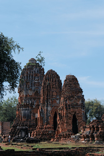 P1034212 1.1