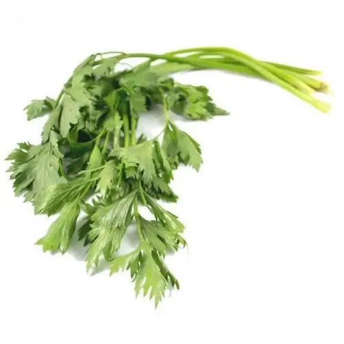 dunia sayur online daun seledri 100 gram full01 qalog5mz.webp