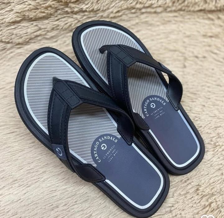 Chinelo Cartago Macio Anatômico Resistente Original Leve