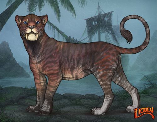 lioden wardrobe 2025 12 07T041837.450.png