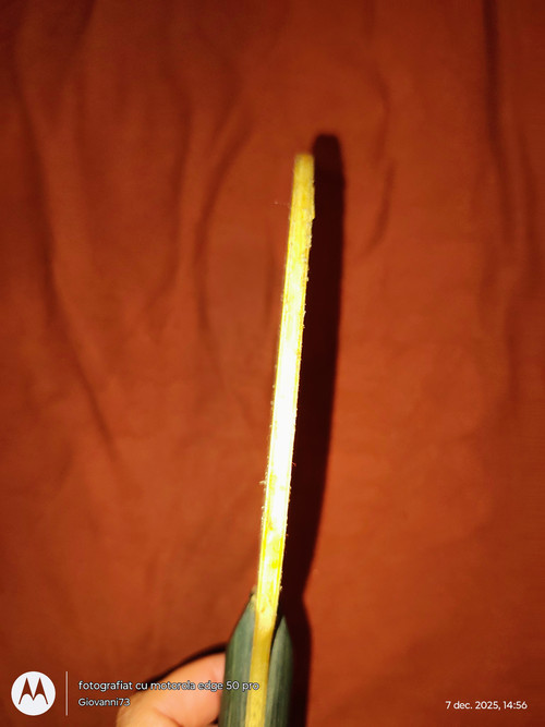 fuXUfZF.md.jpg fuXUfZF.md.jpg