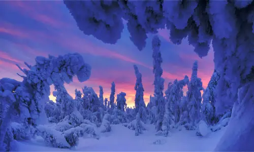 Нов проект (74).webp