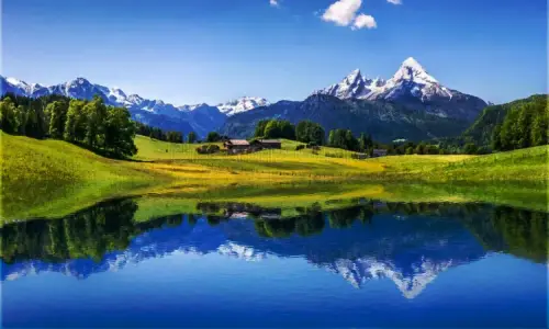 Нов проект (71).webp