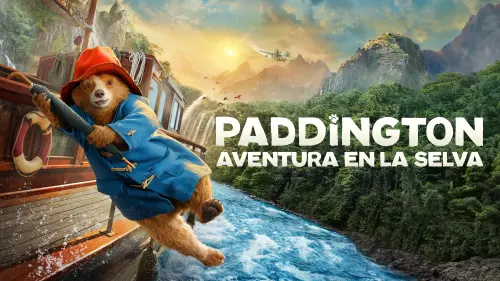 paddington3.webp