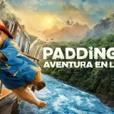 paddington3