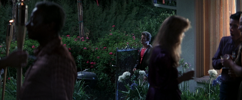 Boogie.Nights.1997.BluRay.1080p.TrueHD.5.1.x265.10bit BeiTai.mkv 20251207 164807.252.png