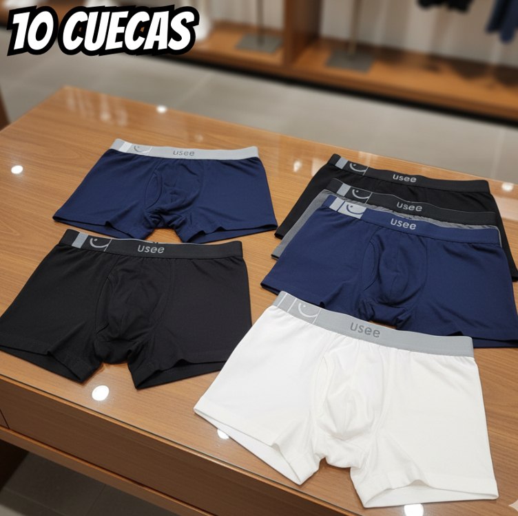 Kit Com 10 Cuecas Boxer Microfibra Adulto Usee Brasil