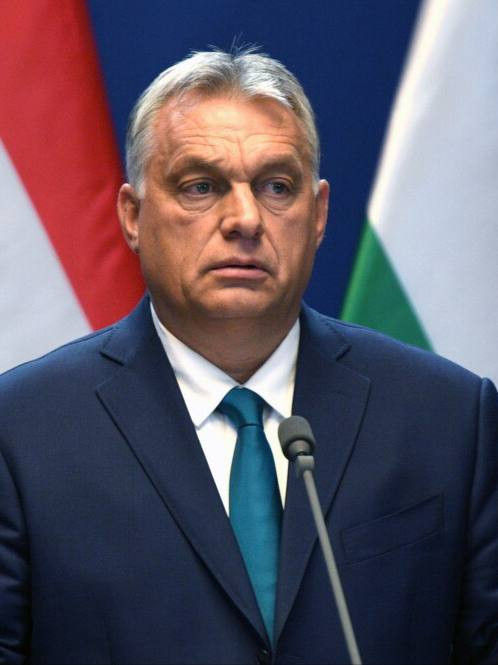 v0 9MLsSzhLXMi1ySvuyPnf1RaqFQvaYAN5 QwpGs39T4aeaLDbyYvIg2xbOwCh8j73sSWwWmVUqkMAiTIuz87UPNXrczPxqDo9I.jpg