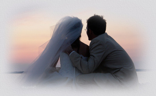 mdwed04top