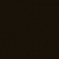 candlelightchristmas bg.jpg