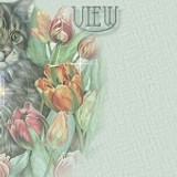 tulipview