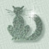 tulipcat1