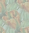 tulipbackground1.jpg
