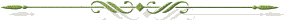 tropicaldivider.gif